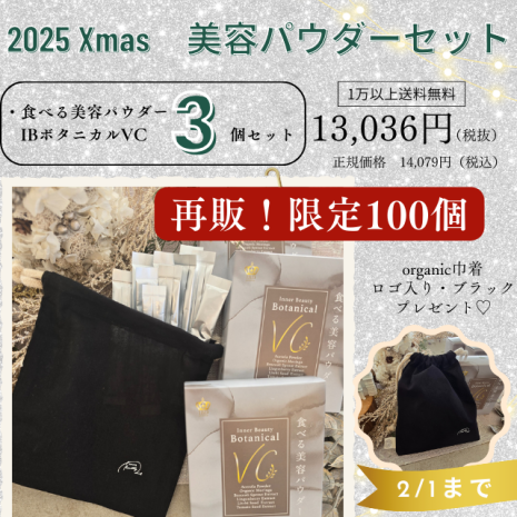 【再販！限定100個】2025Xmas美容パウダーセット