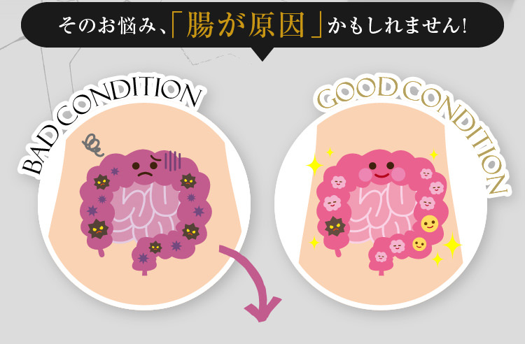 IBDA インナービューティーダイエットアドバイザー DVDセット